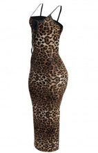 Spotted You Leopard Dress